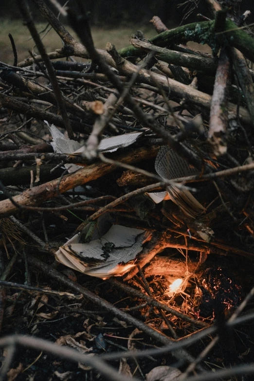 a fire in the middle of a pile of branches, an album cover, unsplash contest winner, environmental art, scattered rubbish and debris, fungal pages, promo image, fire light