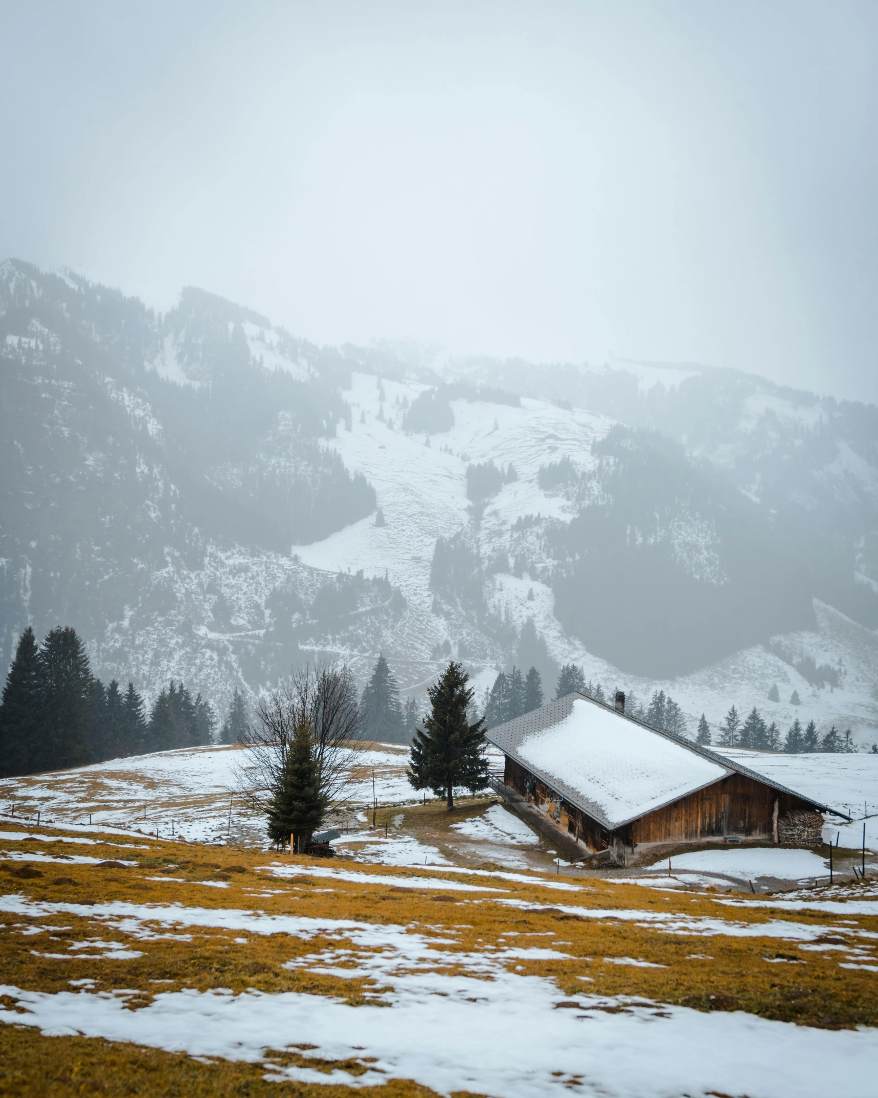 a house sitting on top of a snow covered hillside, pexels contest winner, renaissance, overcast weather, chalet, snapchat photo, a cozy