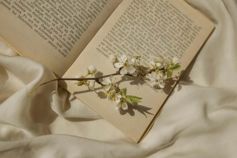 an open book sitting on top of a white sheet, a still life, trending on pexels, romanticism, white blossoms, sustainable materials, lecherous pose, over-shoulder shot