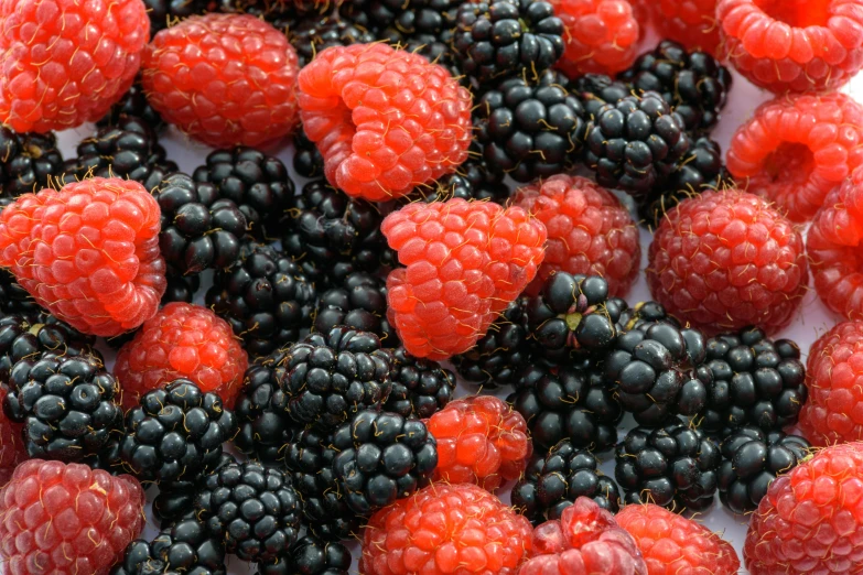 a pile of raspberries and blackberries, by Johannes van Haensbergen, pexels, avatar image, fan favorite, 3 4 5 3 1, magenta and crimson and cyan