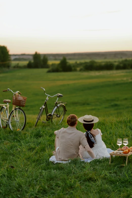 a couple of people that are sitting in the grass, bicycles, wine, linen, in the middle of a field