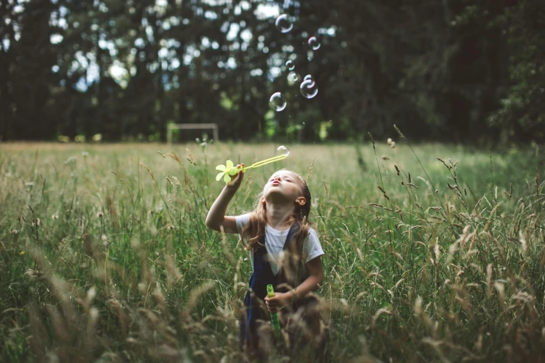 a little girl blowing bubbles in a field, pexels contest winner, paul barson, various posed, game, in a grassy field