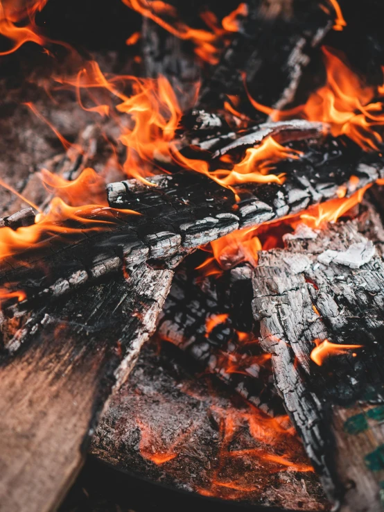 a pile of wood sitting on top of a fire, pexels contest winner, renaissance, avatar image, close up image, splash image, ready to eat