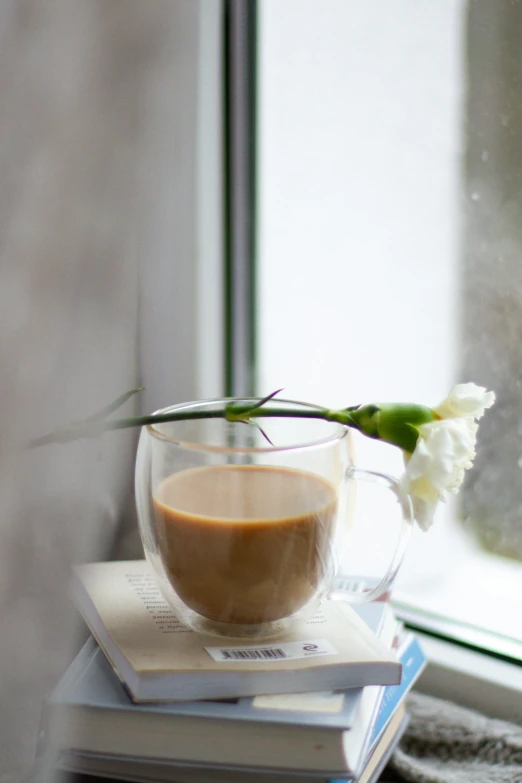 a cup of coffee sitting on top of a stack of books, a still life, unsplash, romanticism, snow outside the windows, datura, promo image, milk and mocha style