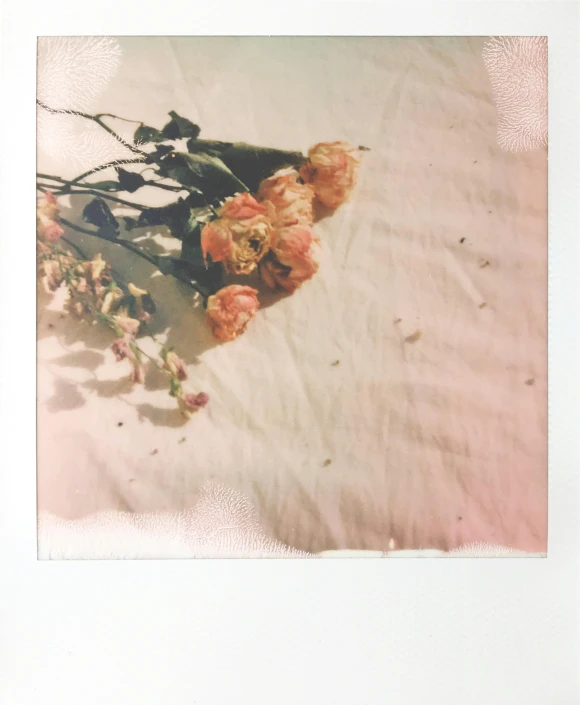 a bunch of flowers sitting on top of a table, a polaroid photo, inspired by Elsa Bleda, romanticism, on my bed, soft vinyl, pale orange colors, lying scattered across an empty