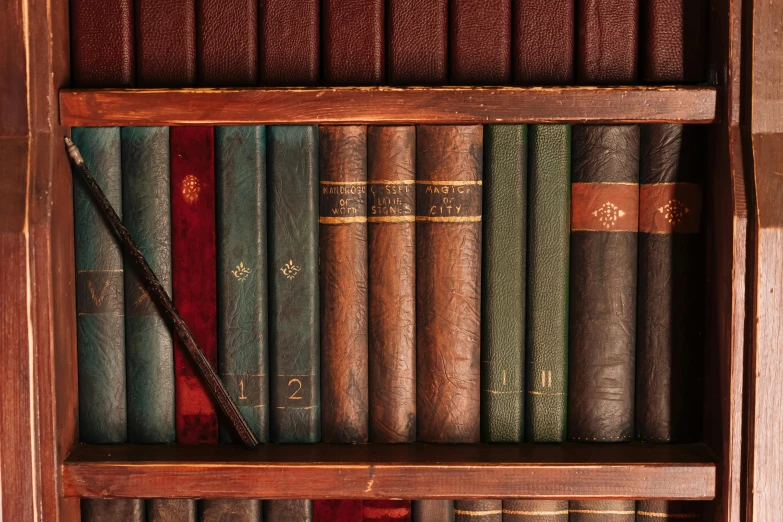 a book shelf filled with lots of books, an album cover, by Konrad Witz, unsplash, renaissance, red brown and blue color scheme, vertical wallpaper, wands, thumbnail