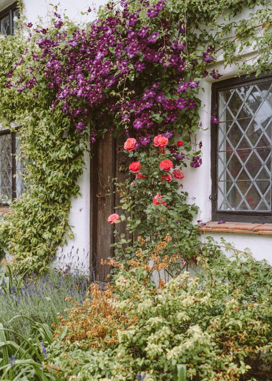 a house with a bunch of flowers growing on the side of it, a picture, by Pamela Drew, unsplash, cottage close up, rich vines and verdant flowers, doorway, lilac bushes