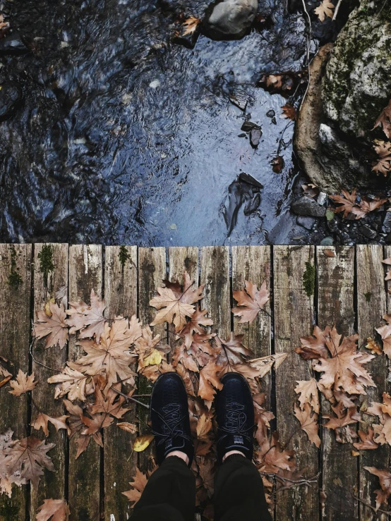 a person standing on a wooden bridge next to a stream, a picture, by Lucia Peka, sneaker photo, fall leaves on the floor, full frame image, instagram photo
