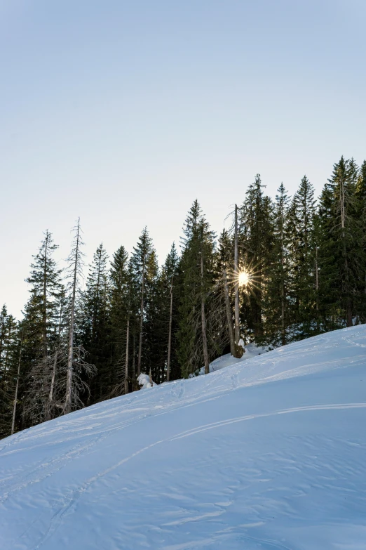 a man riding a snowboard down the side of a snow covered slope, by Karl Walser, unsplash, forest in the morning light, sunset panorama, cleared forest, low sun