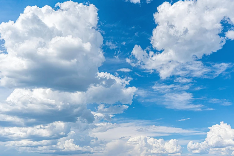 a herd of cattle standing on top of a lush green field, an album cover, by Jan Rustem, unsplash, minimalism, beautiful sky with cumulus couds, panorama view of the sky, sky blue, cumulus