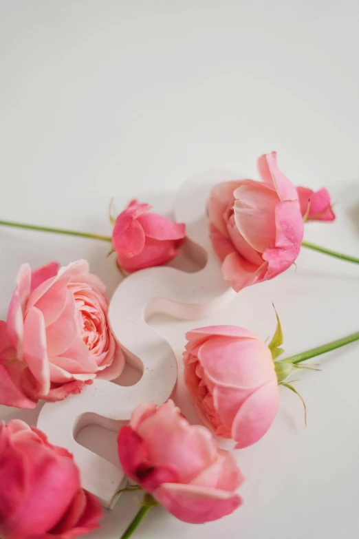 a bunch of pink roses sitting on top of a white table, by Frances Jetter, trending on pexels, letter s, flower mask, 3/4 front view, pieces