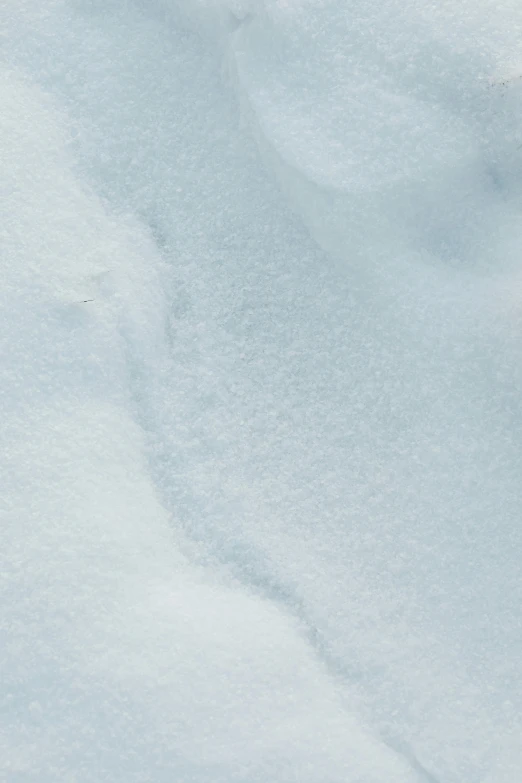 a red fire hydrant sitting in the middle of a snow covered field, an ultrafine detailed painting, reddit, soft blue texture, close up of single sugar crystal, white: 0.5, snow camouflage