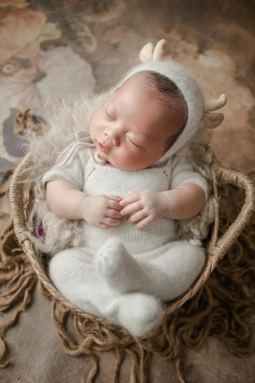 a baby sleeping in a basket with a stuffed animal, an album cover, inspired by Anne Geddes, instagram, renaissance, soft lighting |, portrait of small, promo image, linen