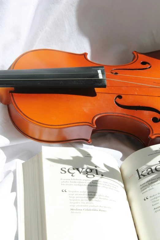 a violin sitting on top of an open book