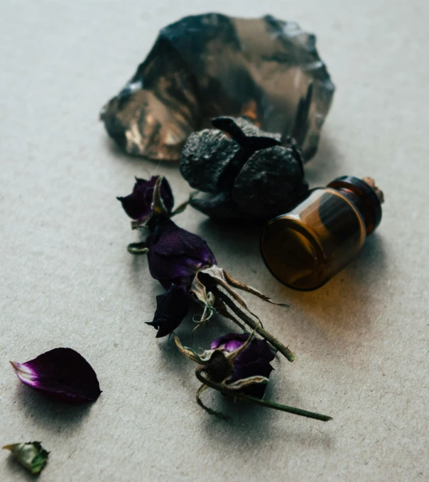 a couple of bottles sitting on top of a table, a still life, unsplash, renaissance, black and purple rose petals, cave crystals, botanical herbarium paper, occasional small rubble