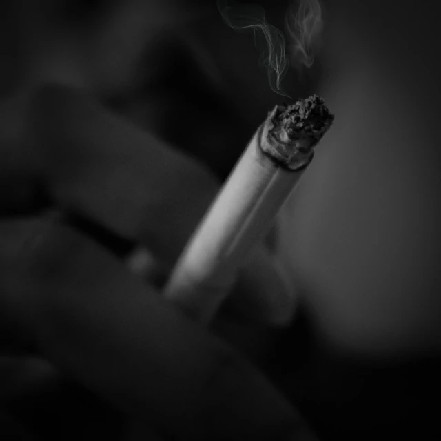 a person holding a cigarette in their hand, a black and white photo, by Kristian Zahrtmann, pexels contest winner, renaissance, small fire, low detailed, mixed art, a green