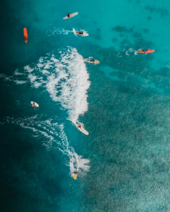 a group of people riding surfboards on top of a body of water, a screenshot, pexels contest winner, helicopter view, tropical reef, thumbnail, no watermarks