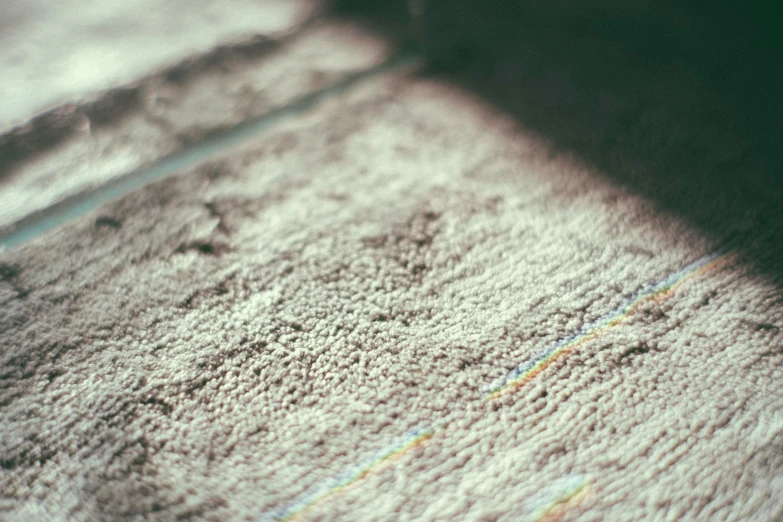 a cat laying on top of a rug on the floor, an album cover, inspired by Elsa Bleda, unsplash, detail texture, bathed in light, wet concrete, discreet lensflare