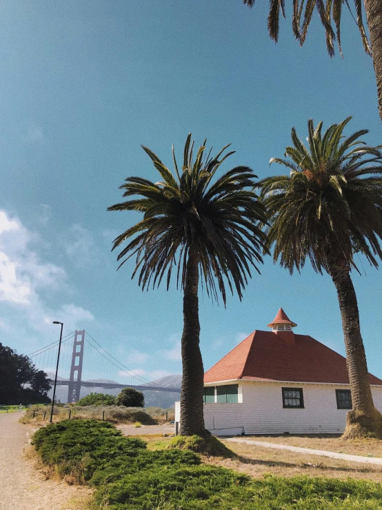 two palm trees in front of a white building, unsplash, video art, golden gate bridge, gopro footage