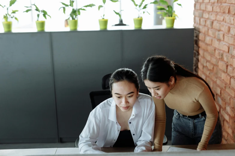 two women sitting at a table looking at a laptop, trending on pexels, analytical art, asian female, avatar image, standing on a desk, high angle shot