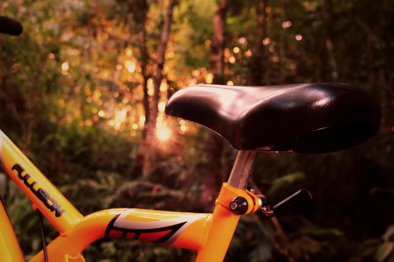 a close up of a bike in the woods, inspired by Edwin Georgi, pexels contest winner, orange glow, high tech saddle, post-processed, view from the side”