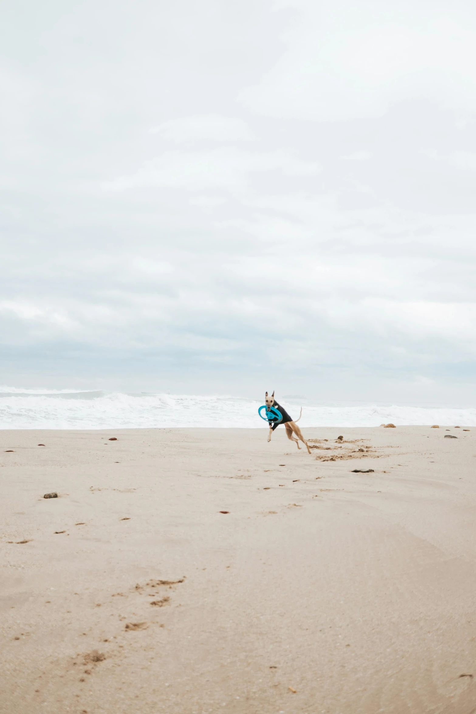 a man flying a kite on top of a sandy beach, crawling on the ground, unsplash photography, girl running, south african coast