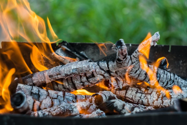 a close up of a fire in a grill, pexels contest winner, barrel fires and tents, avatar image, gardening, profile image