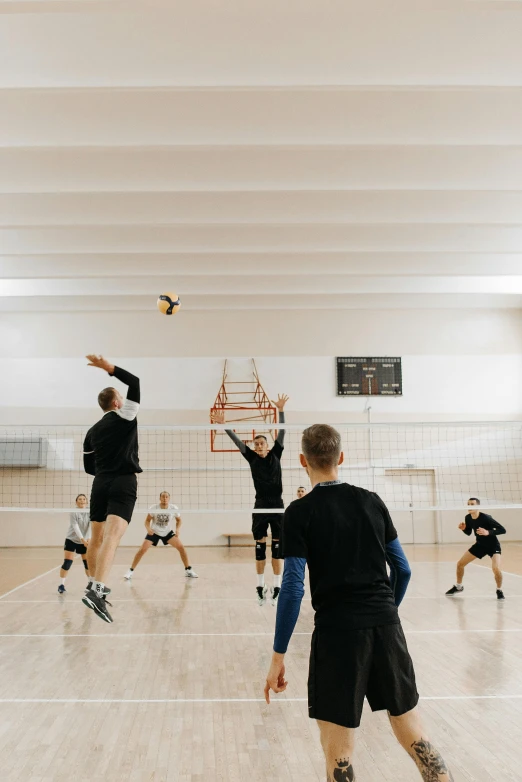 a group of young men playing a game of volleyball, by Jakob Emanuel Handmann, pexels contest winner, modernism, in a gym, jovana rikalo, a tall, seasonal