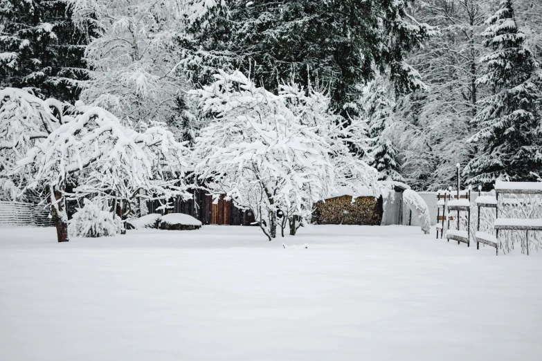 a red fire hydrant sitting in the middle of a snow covered yard, a photo, inspired by Elsa Bleda, pexels contest winner, renaissance, panoramic shot, trees outside, background image, white picket fence