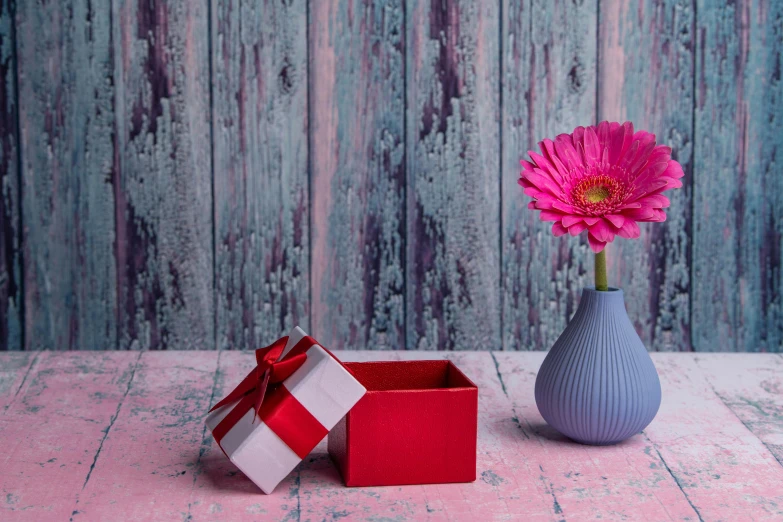 a pink flower in a vase next to a gift box, by Lucia Peka, pexels contest winner, blue and red color scheme, wooden, grey, gif