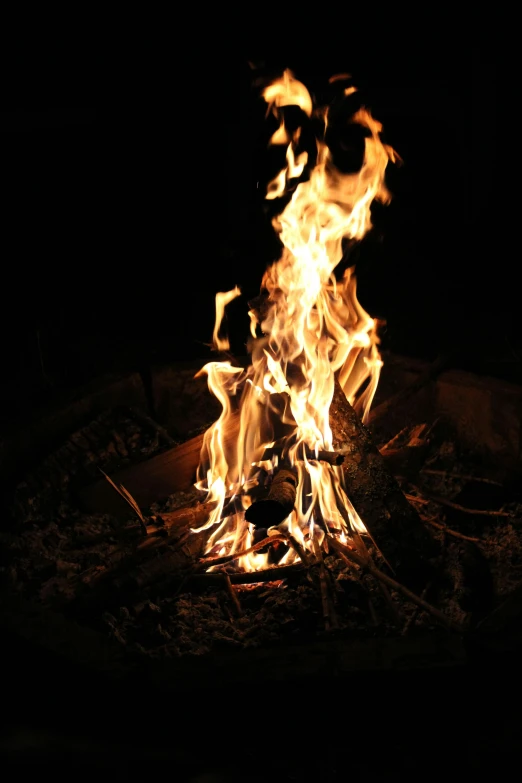 a close up of a fire in the dark, an album cover, pexels, camping, tall, profile picture, fire pit