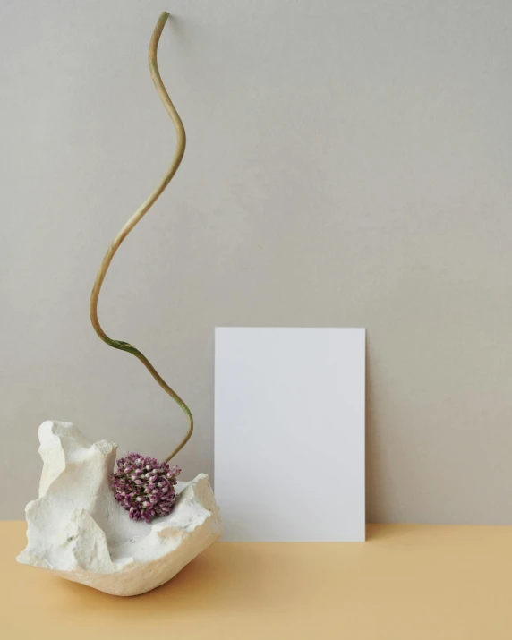 a vase with a plant in it on a table, an abstract sculpture, inspired by Robert Mapplethorpe, unsplash contest winner, blank paper, colour photograph, portrait no. 1, made of silk paper