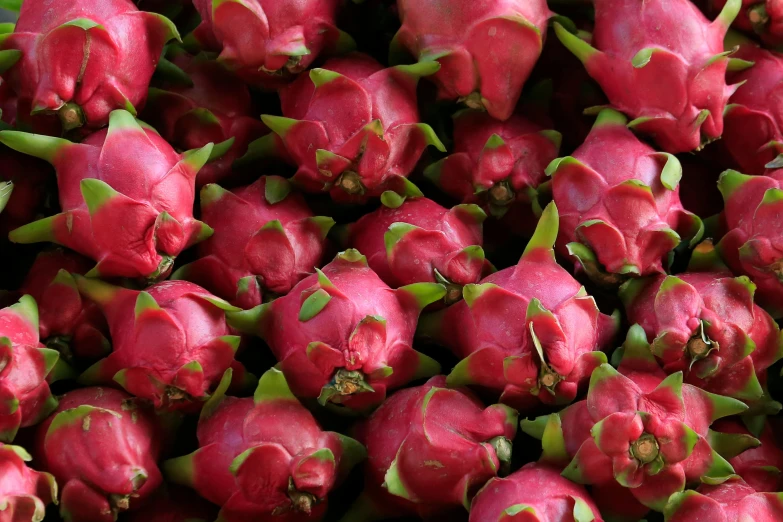 a pile of dragon fruit sitting on top of a table, maroon, spring vibrancy, highly upvoted, red lanterns