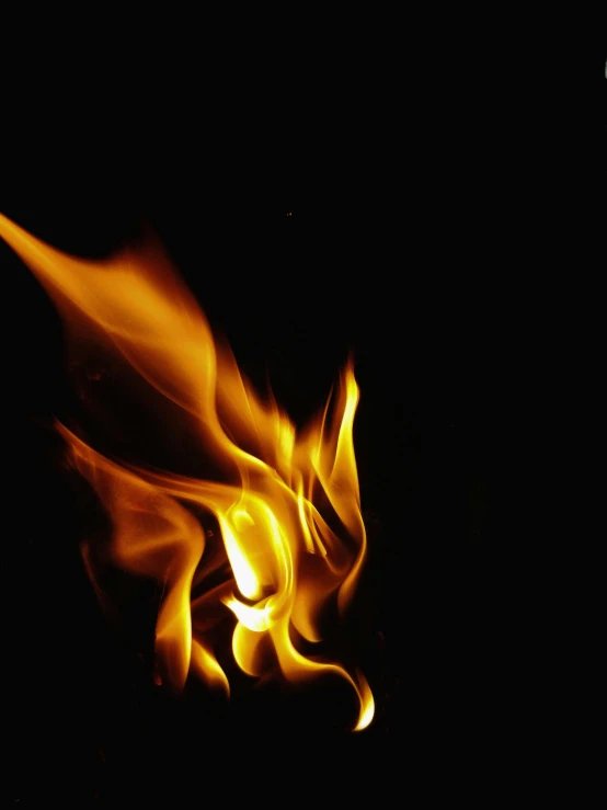 a close up of a fire on a black background, an album cover, pexels, plain background, multiple stories, #trending, profile pic