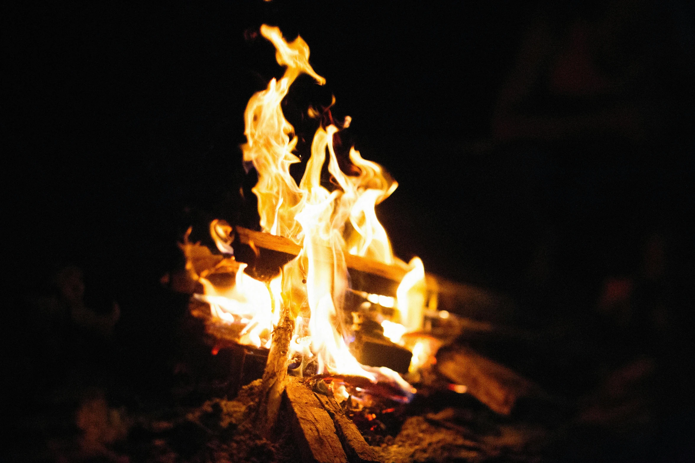 a close up of a fire in the dark, campsites, avatar image