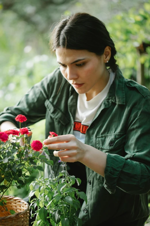 a woman standing next to a basket of flowers, plants in beakers, holding a red rose, thriving ecosystem, profile image