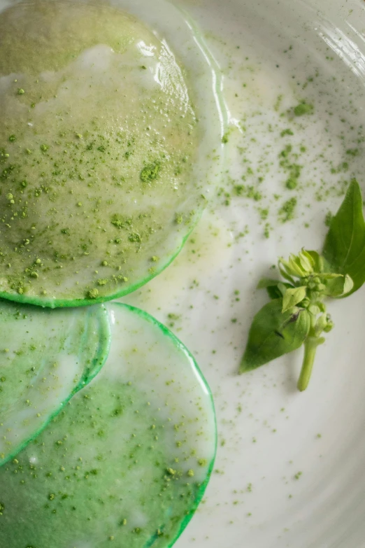 a close up of a plate of food on a table, inspired by Art Green, milk - bath effect, basil, thumbnail, made of liquid