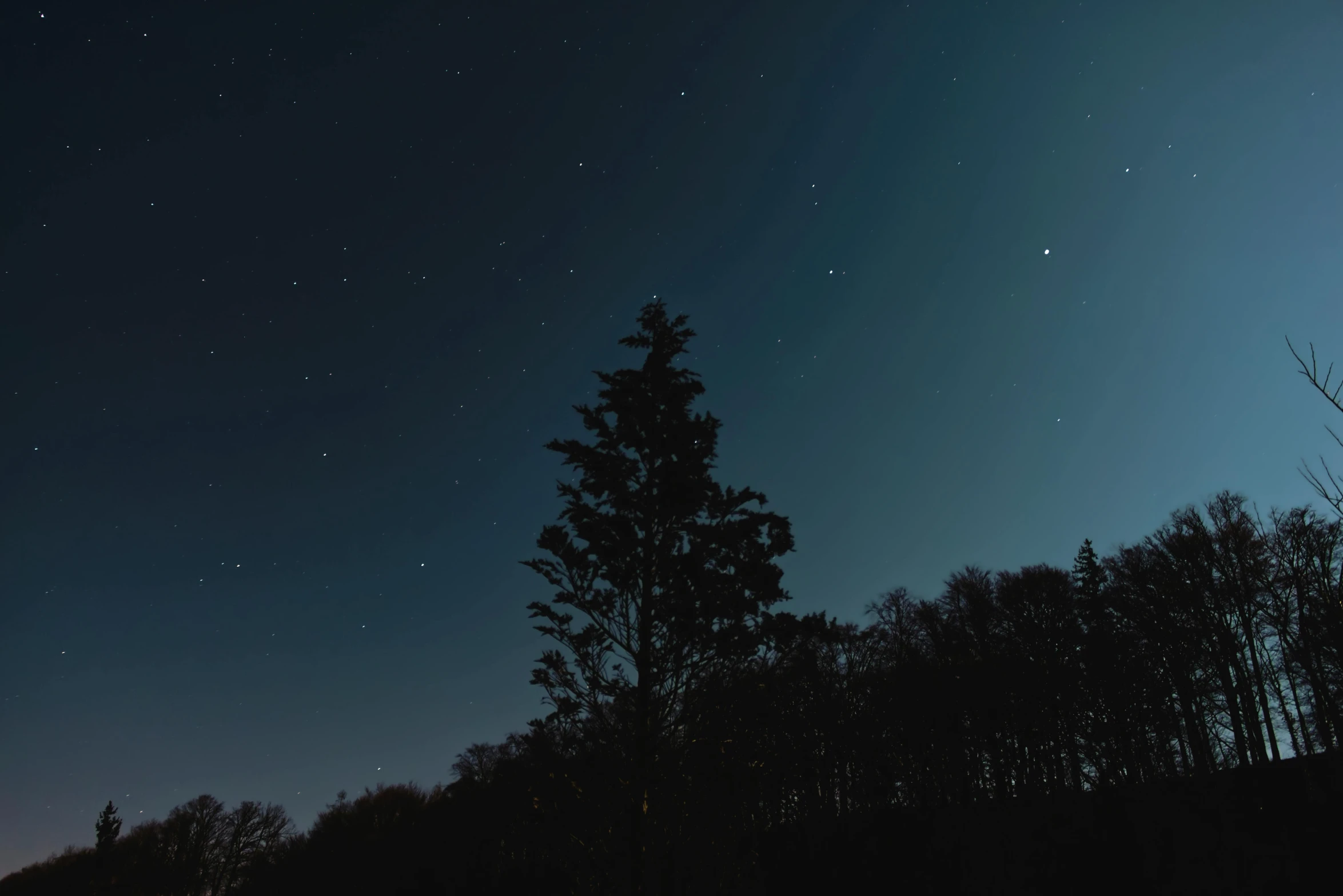 a sky filled with lots of stars next to a forest, minimalist photo, instagram post, cinematic shot ar 9:16 -n 6 -g, teal sky