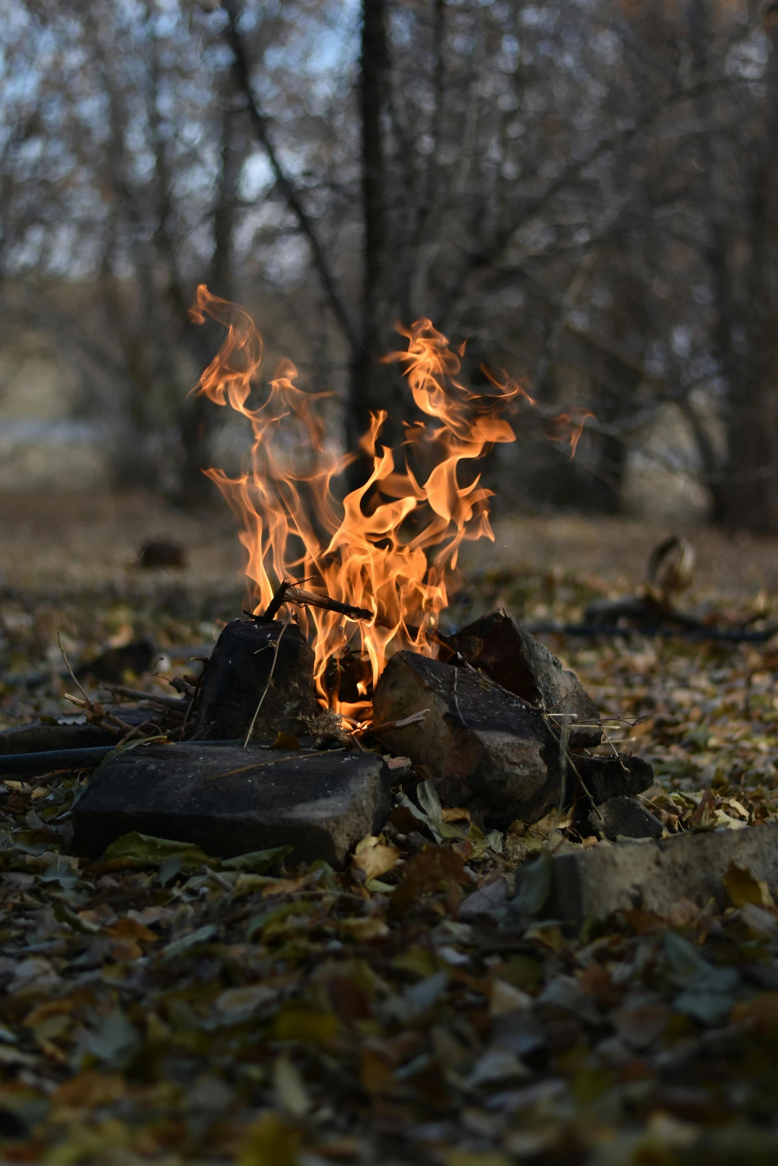 a pair of shoes sitting on top of a pile of leaves, burning trees, roaring fire, paul barson, campfire