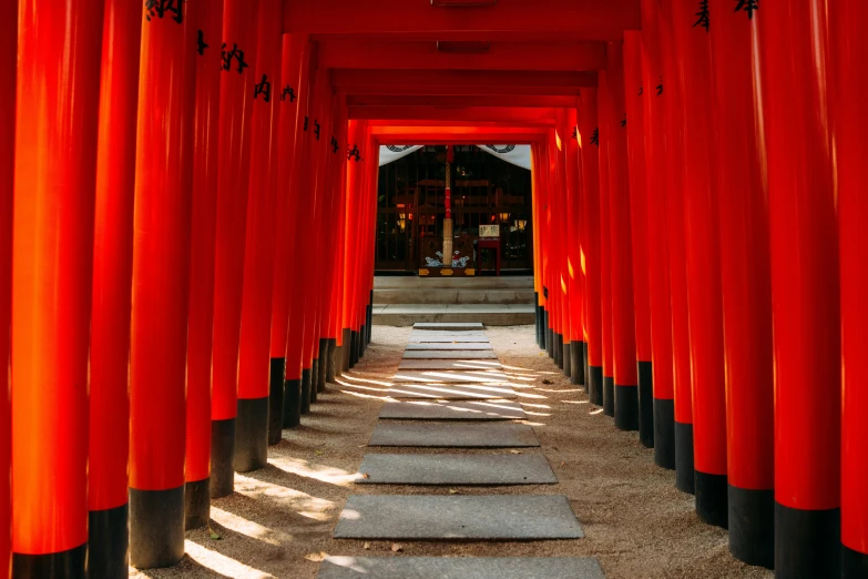 a row of red tori tori tori tori tori tori tori tori tori tori tori tori tori tori, inspired by Torii Kiyomoto, pexels contest winner, ukiyo-e, giant majestic archways, nice afternoon lighting, rectangle