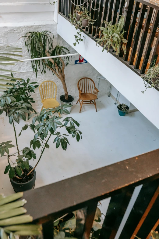 a couple of chairs sitting on top of a balcony, unsplash, light and space, plants allover, look down a cellar staircase, studio kyoto, low quality photo