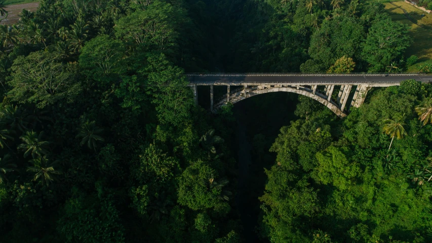 an aerial view of a bridge surrounded by trees, hurufiyya, bali, fan favorite, helicopter view, side