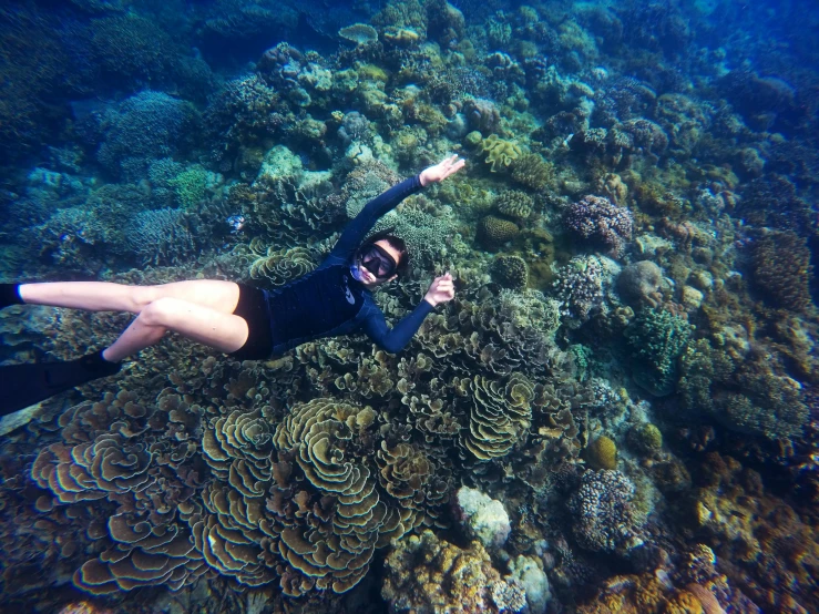 a woman in a wetsuit snorgles over a coral reef, sumatraism, 🦩🪐🐞👩🏻🦳, vacation photo, lying down, myself