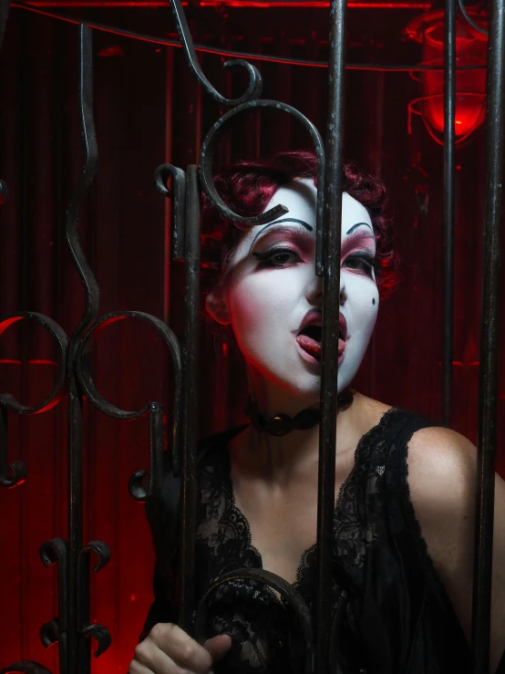 a woman in a cage with a red light behind her, a portrait, inspired by Hedi Xandt, pexels contest winner, pauline hanson as a clown, ( ( theatrical ) ), promo photo, lgbtq