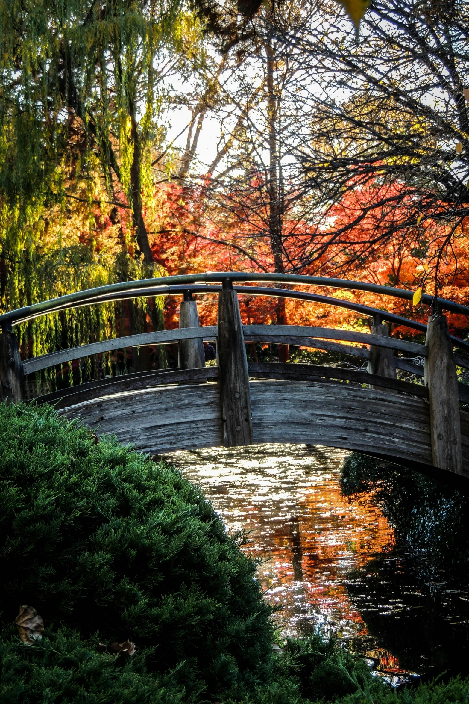 a wooden bridge over a small pond in a park, inspired by Kanō Shōsenin, unsplash, taken in silver dollar city, autumn sunset, arched back, willows