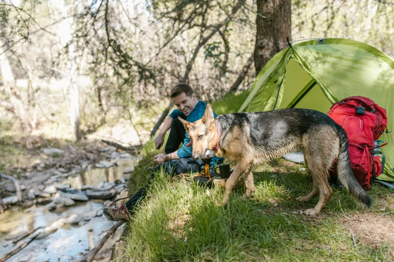 a man sitting next to a dog next to a tent, lush surroundings, avatar image, australian, wyoming