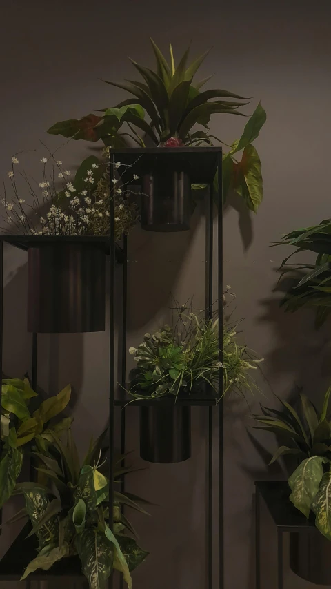 a room filled with lots of different types of plants, by Robbie Trevino, unsplash, modernism, dark matte metal, 3d product, pedestal, product view