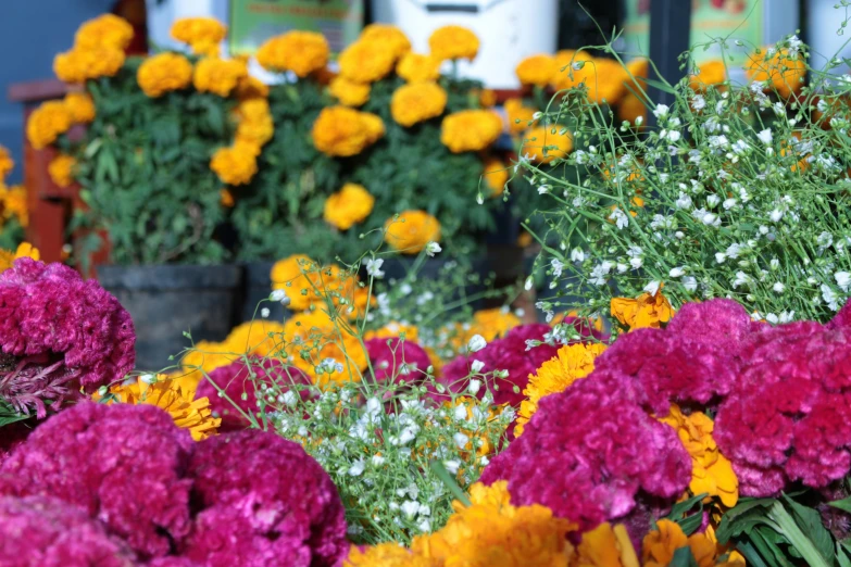 a bunch of flowers sitting on top of a table, by Maksimilijan Vanka, pexels, farmer's market setting, marigold, el dia los muertos, flowers in a flower bed