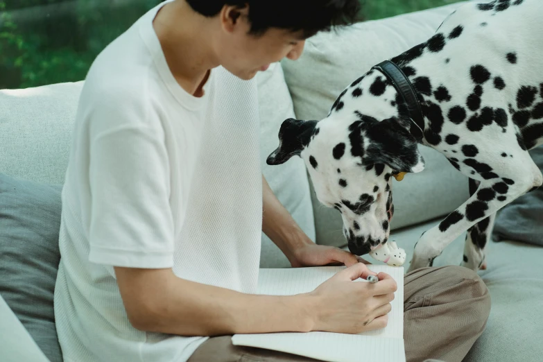 a person sitting on a couch with a dog, a drawing, pexels contest winner, drawing sketches on his notebook, white with black spots, asian male, teenage boy