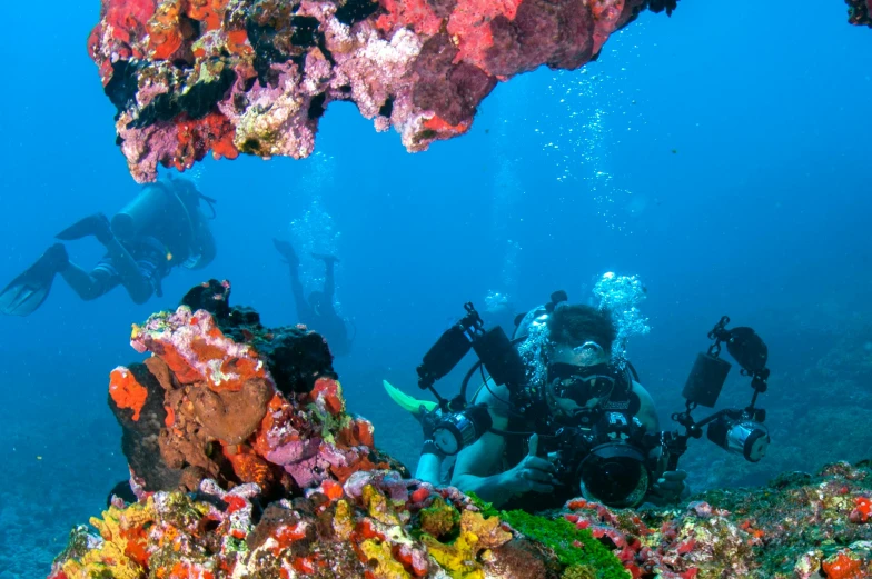 a couple of people that are in the water, by Gwen Barnard, pexels contest winner, colorful coral reef, underwater shrine, slide show, avatar image